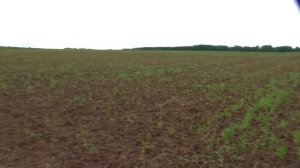 СЕРЕБРО! И другие находки. Одиночный выезд. В поисках золота!