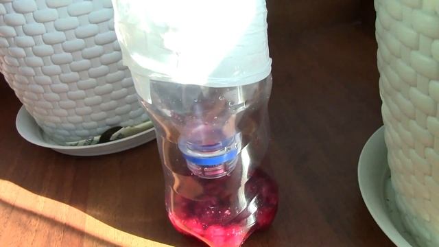 ЛОВУШКА НА МОШЕК СВОИМИ РУКАМИ/BLACK FLY TRAP.