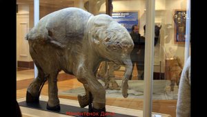 Медиаурок «Музей мамонта в Якутске»