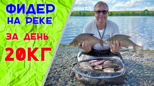 20 кг леща на фидер.