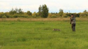 потяжка стойка по сидке  Находит дупеля  Взлет двух дупелей