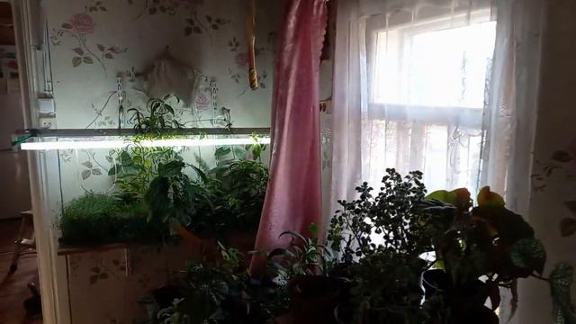 Доброе  утро от Юлианы.