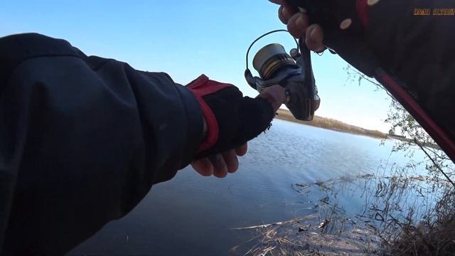 Судаки жрут микроджиг/приманки с AliExpress смотреть онлайн