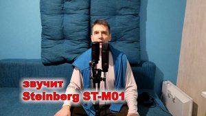 Rode NT1 gen 4 vs Steinberg ST-M01 сравнение конденсаторного и электретного микрофона.