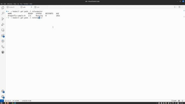 Kubernetes Operator for Dragonfly Demo смотреть онлайн