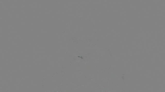 Готовим в мультиварке/ Рис с овощами и куриным филе/Болтаю смотреть онлайн