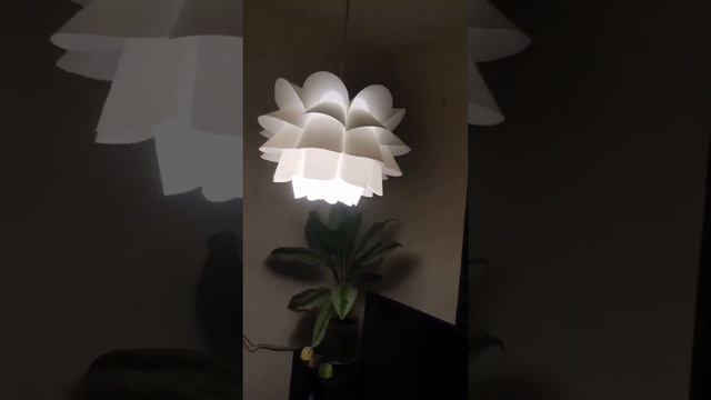 lotus ceiling lamp