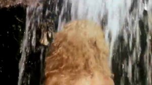 Подземелье ведьм