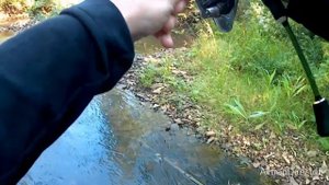 Форель и хариус на микроджиг в +30. день первый