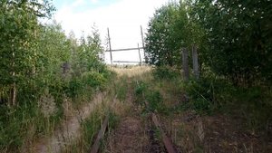 Заброшенная узкоколейка. Июль 2022