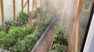 Туманообразователь.Обработка теплицы.