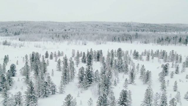 Данил бегает от дрона 2024
