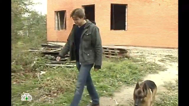 Возвращение Мухтара 2. Химчистка смотреть онлайн