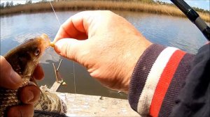 Весенний КРУПНЫЙ КАРАСЬ в апреле ! Рыбалка 2020