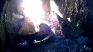 Твердотопливный пиролизный котёл на дровах длительного горения КМВ. Тлеющий режим горения..mp4