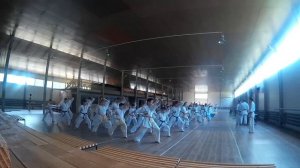 УТС по каратэ кекусинкай, КЮ тест (экзамен на пояса)