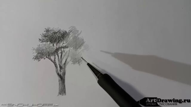 Рисуем дерево карандашом