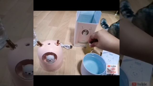 เครื่องพ้นไอน้ำจาก shoppe เครื่องทำความชื้นนาโน USB Moisturizing humidifier. смотреть онлайн