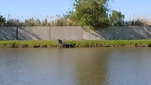 Рыбалка в Саратове /рыбалка в Саратовской области на карпа