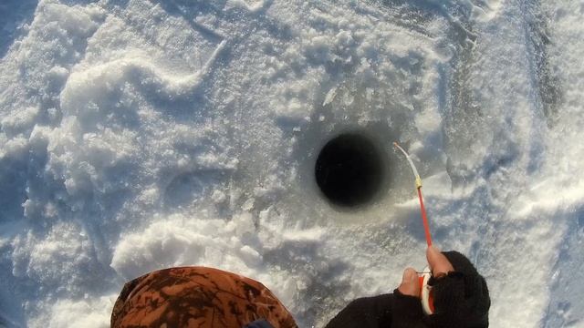 Зимняя рыбалка на озере Глухое. Февраль. Рыбалка на окуня 2020. смотреть онлайн