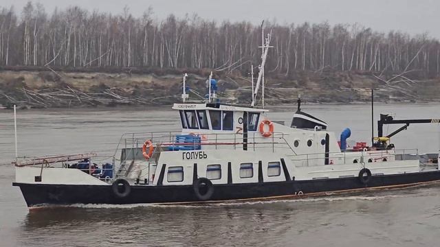 Путейский ГОЛУБЬ. Река Иртыш смотреть онлайн