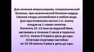 Боярышник. Народные рецепты лечения.