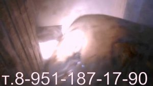 Дымогенератор нкп для холодного копчения. Т 8-951-187-17-90