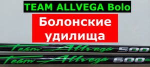TEAM ALLVEGA Bolo болонское удилище. ОБЗОР болонских удилищ Альвега ТИМ АЛЬВЕГА боло