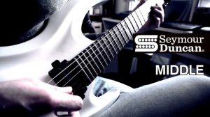 EMG 81/60 VS Seymour Duncan Pegasus/Sentient