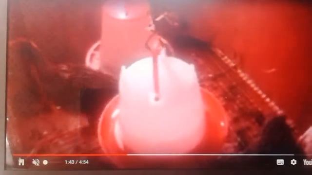 Температурный режим в брудере.Важно!