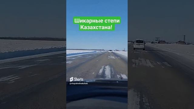 Дороги дороги #SHORTS