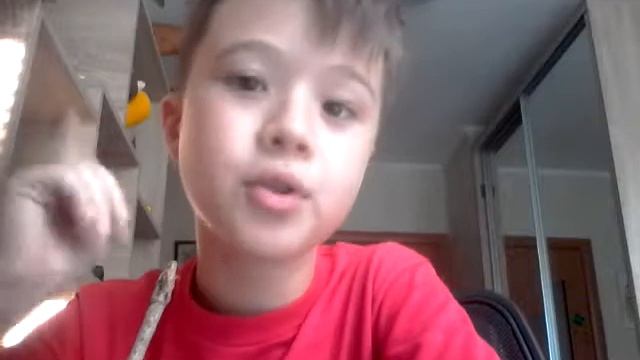 Очень хороший корабль из коры с водонепроницаемым парусом смотреть онлайн