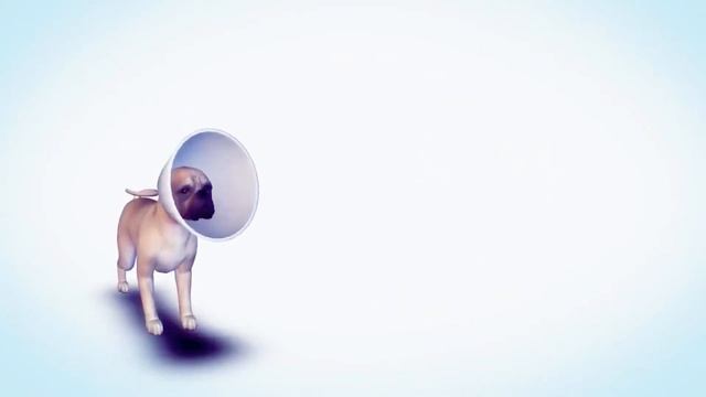 The Sims 4 кошки и собаки я влюбился с первого взгляда смотреть онлайн