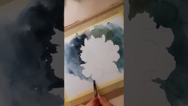 "Белый пион" рисуем акварелью