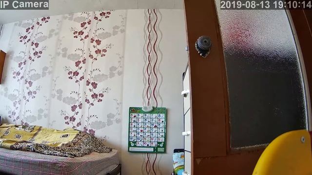 Купольная WI-FI PTZ IP камера OwlCat с качеством записи 1080P. Примеры видео и фото с камеры.