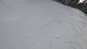 Шерегеш 13 февраля 2024. Томский лес исчезает, но мы еще покатаем в нем!!!