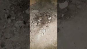 Заброшенные ракетные шахты СССР