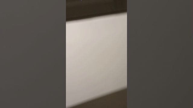 рижская