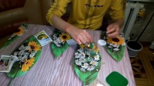 Посадка семян дионеи (венерина мухоловка) часть 1