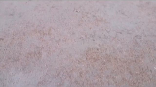 Петергоф без туристов? смотреть онлайн