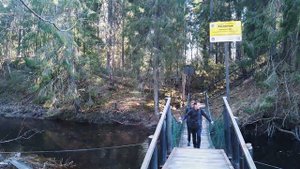 Поход выходного дня в окрестностях Питера. Река Лустовка. Лисинский заказник.