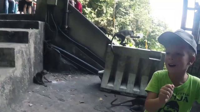 Malaysia 2018 смотреть онлайн