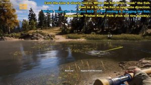 Gone Fishin | How & Where to Catch Sturgeon & Salmon | Fishing Tips & Tricks | Far Cry 5