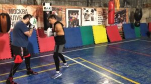 Бокс: солнышко Демпси - заготовка к работе!