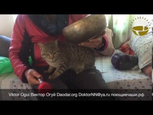 Поющие чаши: Самоучитель  Виктор Огуй  Часть 18  Поющие чаши для животных Экспресс версия  Singing