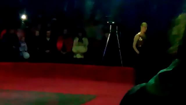 Цирк!!! #2 лошадь!!! смотреть онлайн