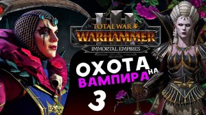 Охота на вампира - Эльспет фон Дракен в Total War Warhammer 3 - Бессмертные Империи - часть 3