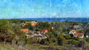 №16 Куршская коса,посёлок Морское,август 2016