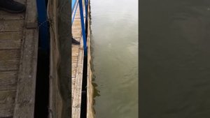 Работа водолаза