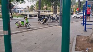 Удивительное экзотическое дерево! | Курупита Гвианская